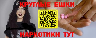 a pvp Кингисепп