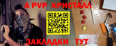 a pvp Кингисепп