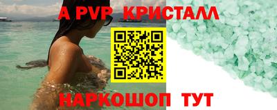 a pvp Кингисепп