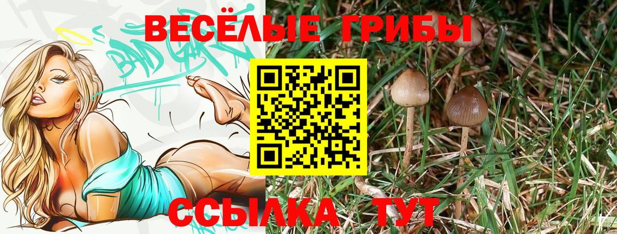 Псилоцибиновые грибы Psilocybe  Галлюциногенные грибы мухоморы  Нижнеудинск  Вход с VPN 
