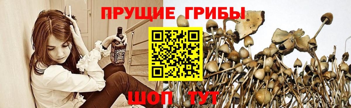 Галлюциногенные грибы Magic Shrooms Нижнеудинск